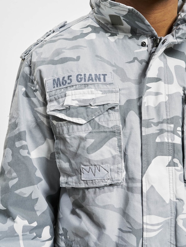 M65 Giant-4