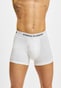 white_6293