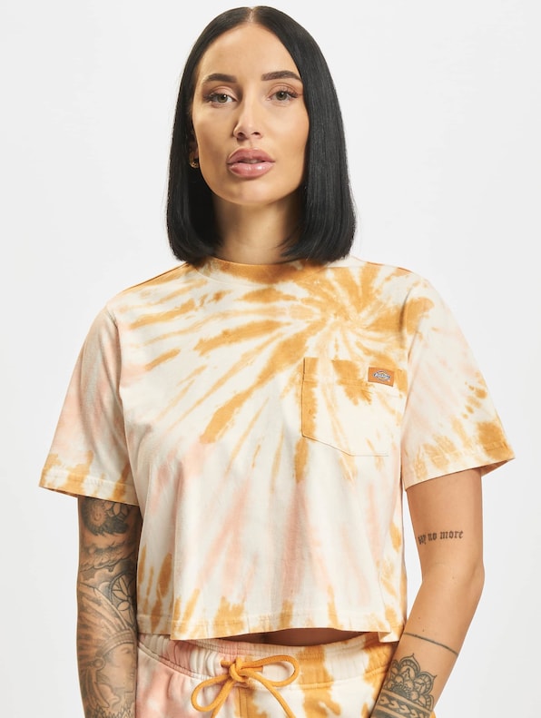 Dickies Seatac T-Shirt golden-2