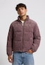 brown_203625