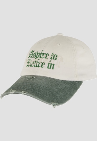 Pica Pica ASPIRE To Retire