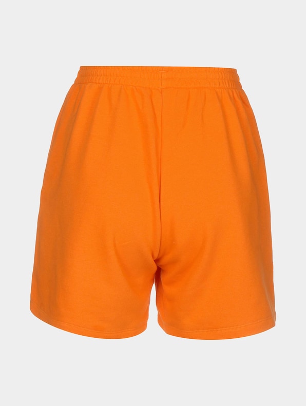 Adicolor Shorts-1