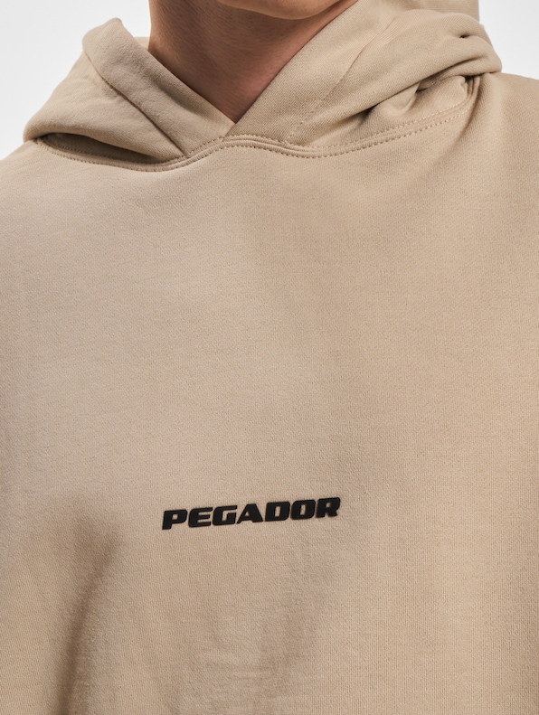 Pegador Colne Logo Oversized Hoodies-4