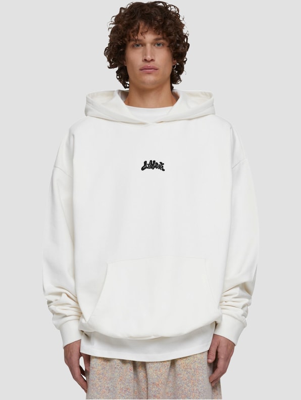 Lost Youth Beautiful Chaos Hoodies-0