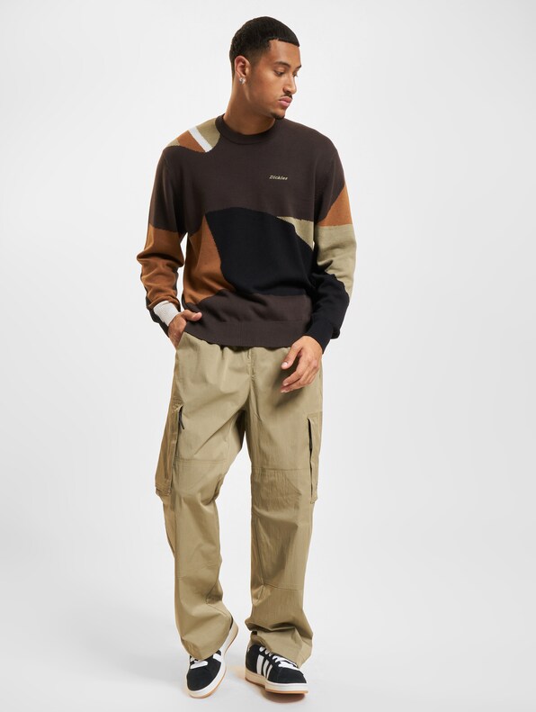 Dickies Camo-5