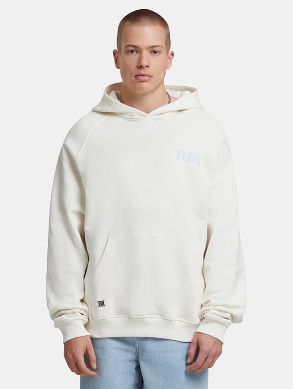 PEQUS Back Logo Hoodies-2