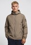 brown_171347