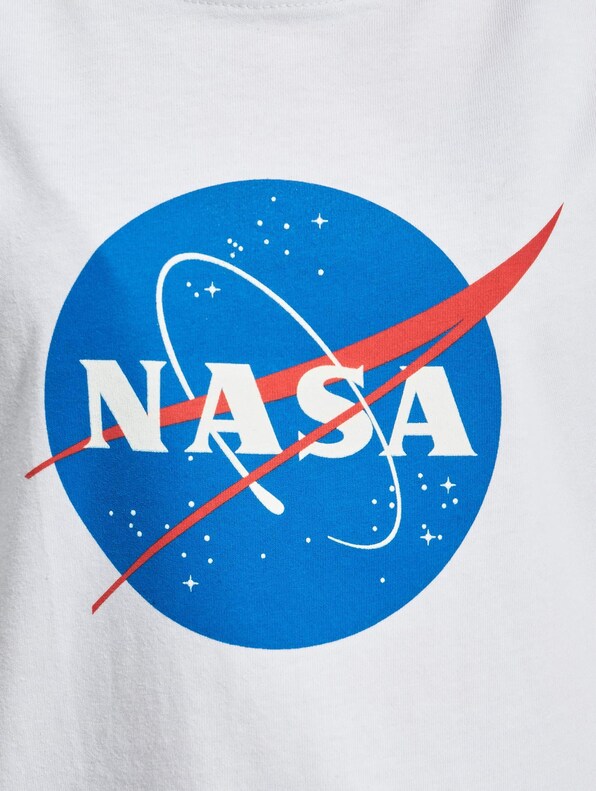 Nasa Insignia-3