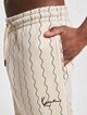 Small Signature Ziczac Pinstripe Relaxed Fit -3