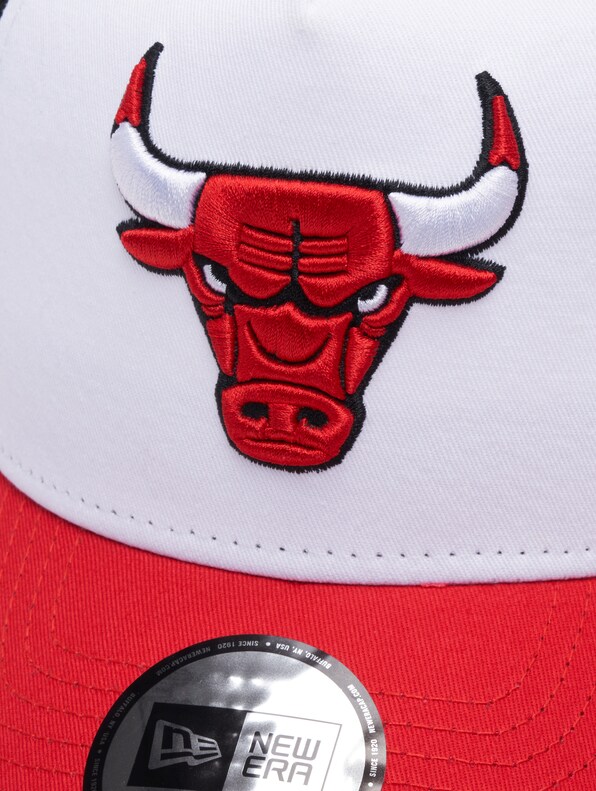 NBA Chicago Bulls-2