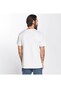 white_20428