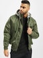 olive_38341