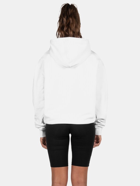 Ladies Wave V.1 x Heavy Oversized Hoody-1