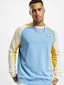 blue_11412