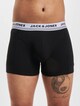 Downey Organic-4