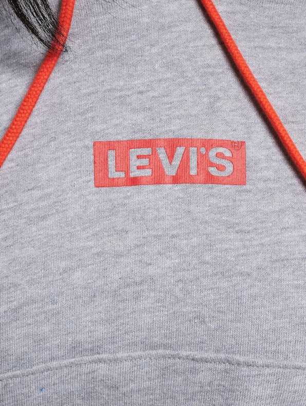 Levis Graphic Laundry Hoodie-4
