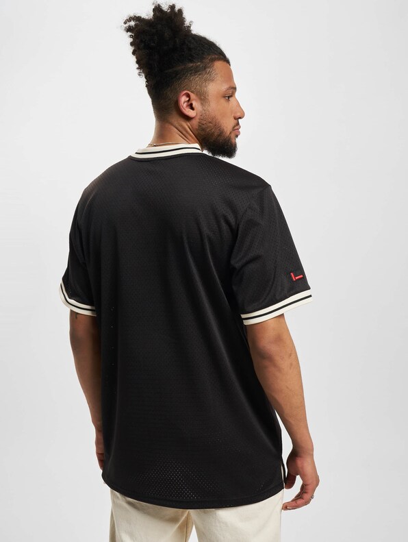 Vintage Lacquered Mesh -1