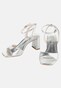 silver_151318