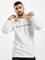 white_29041