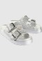 silver_151925