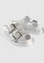 silver_151925