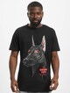Air Dog-2