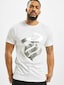 white_14416