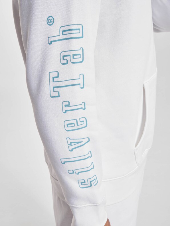 Levi's Standard Graphic Hoodies-5