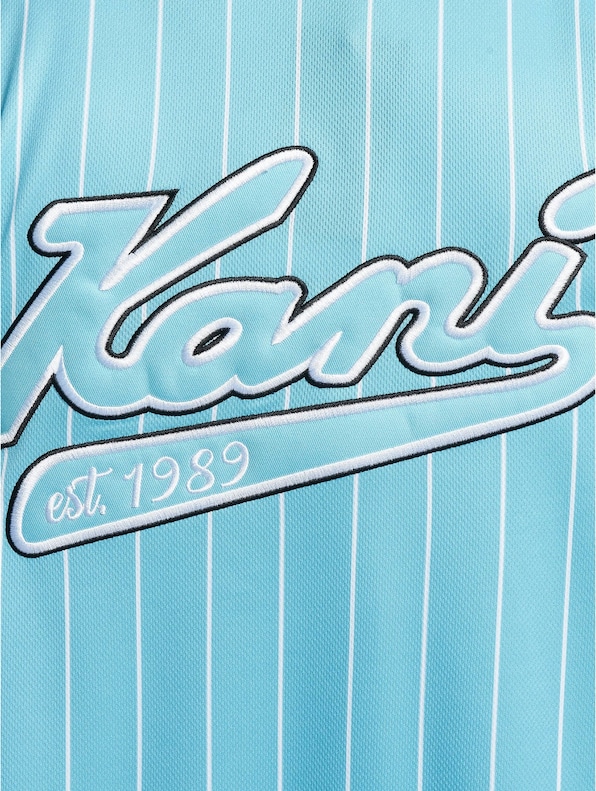 Varsity Block Pinstripe Baseball-5
