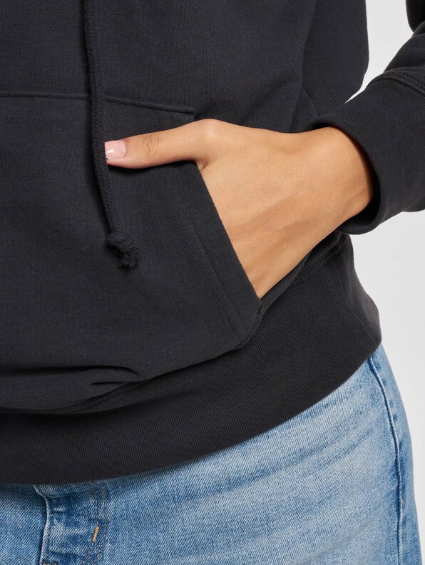 Levis Graphic Standard Hoodie-4