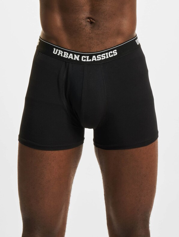 Organic Boxer Shorts 5-Pack-4