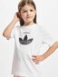 white_25202