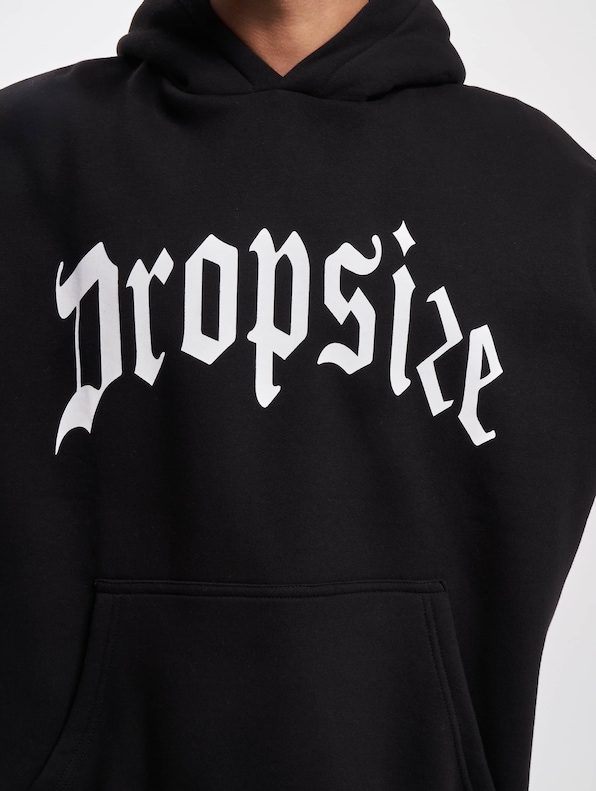 Dropsize Logo Design Hoodies-3