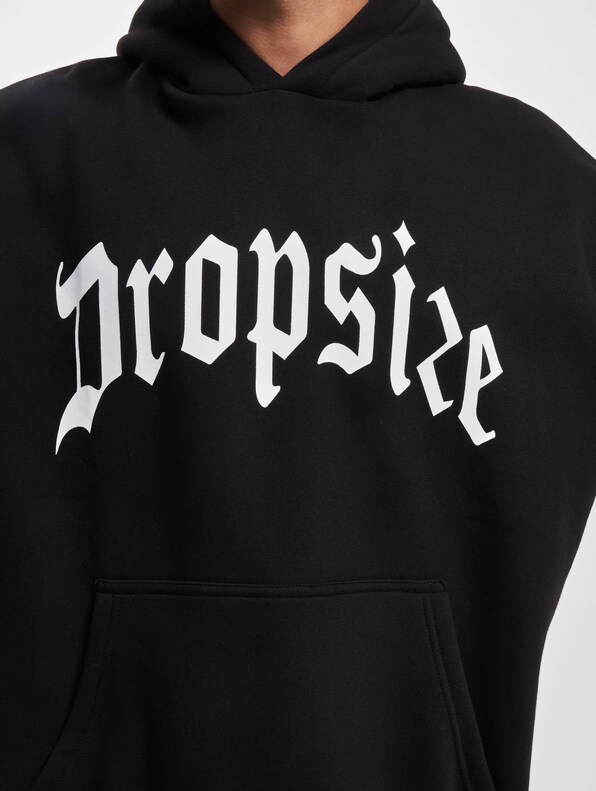 Dropsize Logo Design Hoodie-3