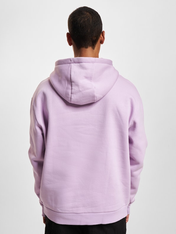 Karl Kani Small Signature Essential Hoodie-1