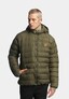 olive_95448