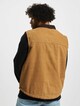 Duck Canvas-1