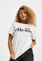 white_13266