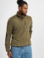 olive_38121