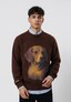 brown_212999