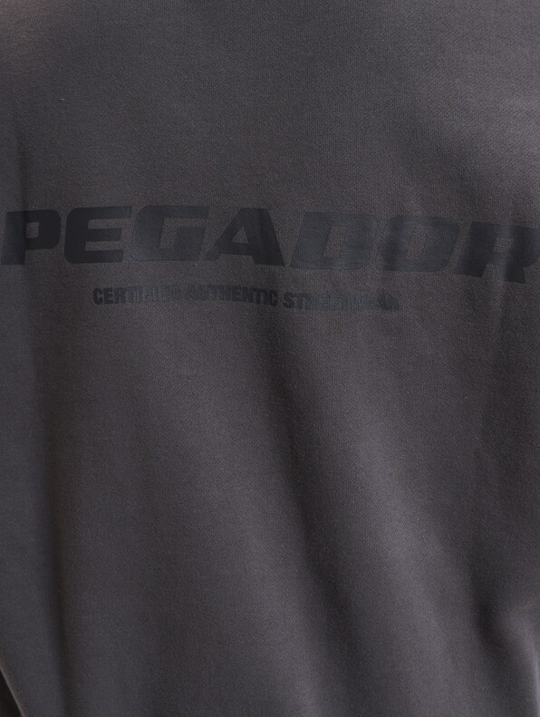 PEGADOR Colne Logo Oversized Hoodies-3