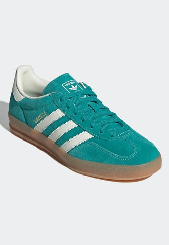 Gazelle Indoor