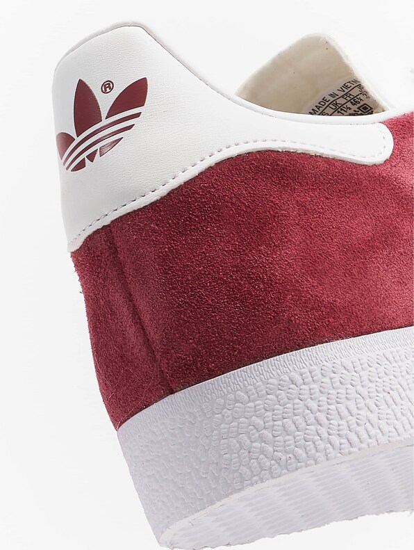 Gazelle -8