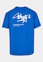 blue_21064