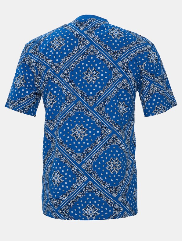 Small Signature Paisley-5