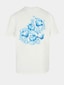 white_65742