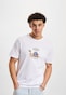 white_33984