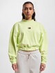 Tommy Jeans Bxy Crp Xs Badge Mockneck Sweater-2