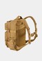 beige_37956