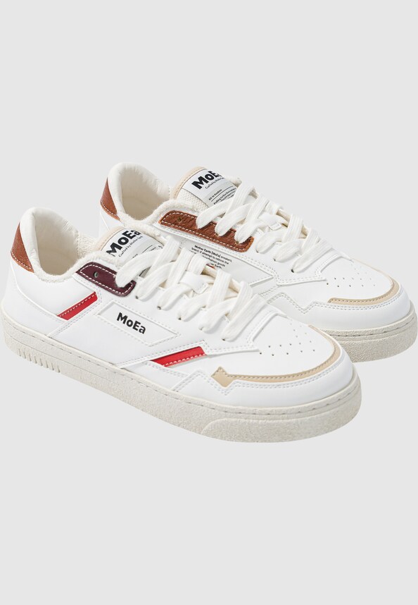 GEN9 - CORN ALL-IN TERRA-0